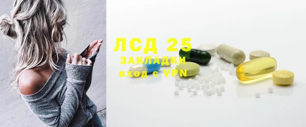 ГАЛЛЮЦИНОГЕННЫЕ ГРИБЫ Аркадак