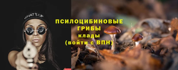 ГАЛЛЮЦИНОГЕННЫЕ ГРИБЫ Аркадак