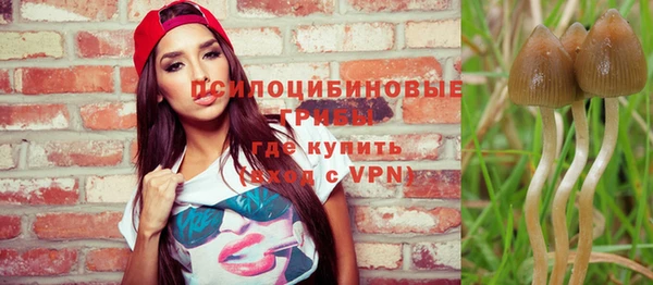 ГАЛЛЮЦИНОГЕННЫЕ ГРИБЫ Аркадак