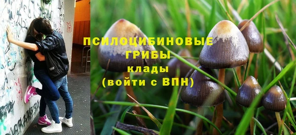 mix Нижний Тагил