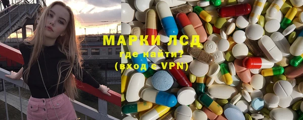 ГАЛЛЮЦИНОГЕННЫЕ ГРИБЫ Аркадак