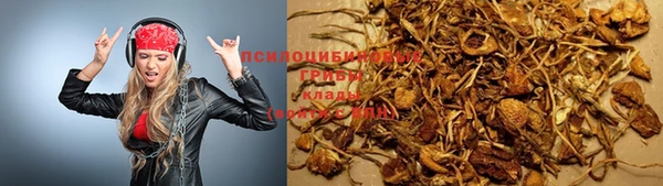 ГАЛЛЮЦИНОГЕННЫЕ ГРИБЫ Аркадак