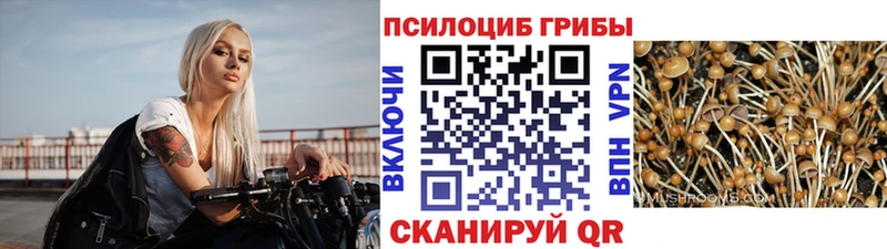 закладка  Артёмовск  Галлюциногенные грибы Magic Shrooms 